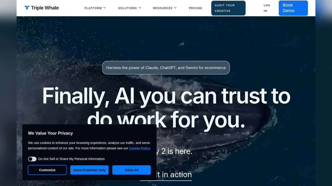 Triple Whale